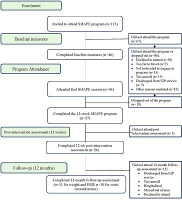 Early Intervention in Psychosis: Effectiveness and Implementation of a Combined Exercise and Health Behavior Intervention Within Routine Care